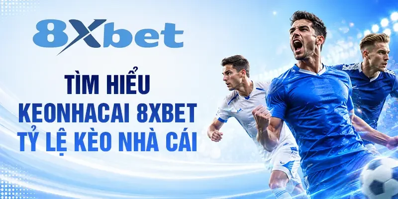 Tìm hiểu 8XBet và vai trò trong thị trường cá cược bóng đá